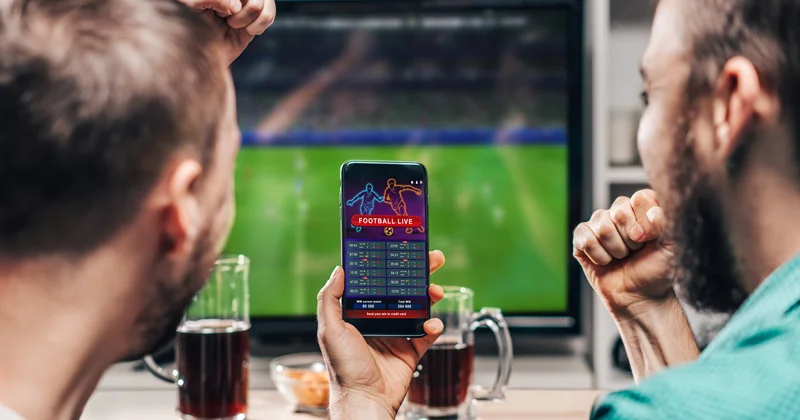 pay per head services for creating a sports betting business.